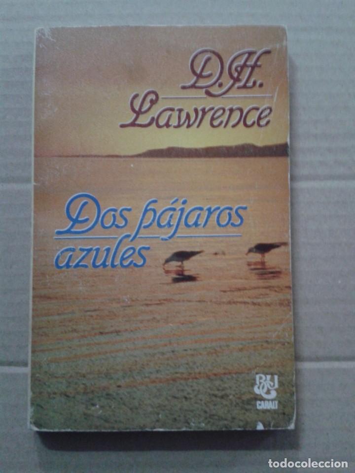Libros: DOS PAJAROS AZULES. D.H. Lawrence - Foto 1