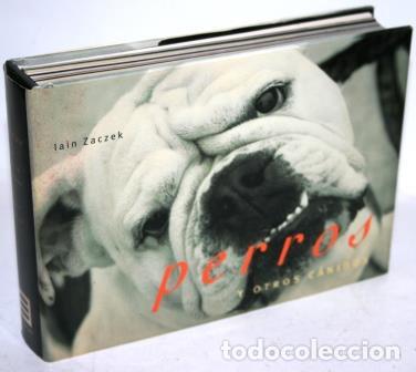 Libros: PERROS Y OTROS C&Aacute;NIDOS - ZACZEK, Iain - Foto 1