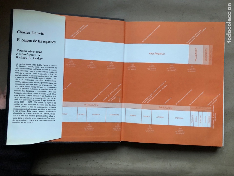 Libros: EL ORIGEN DE LAS ESPECIES, CHARLES DARWIN. VERSI&Oacute;N ABREVIADA E INTRODUCCI&Oacute;N DE RICHARD E. LEAKEY. - Foto 2