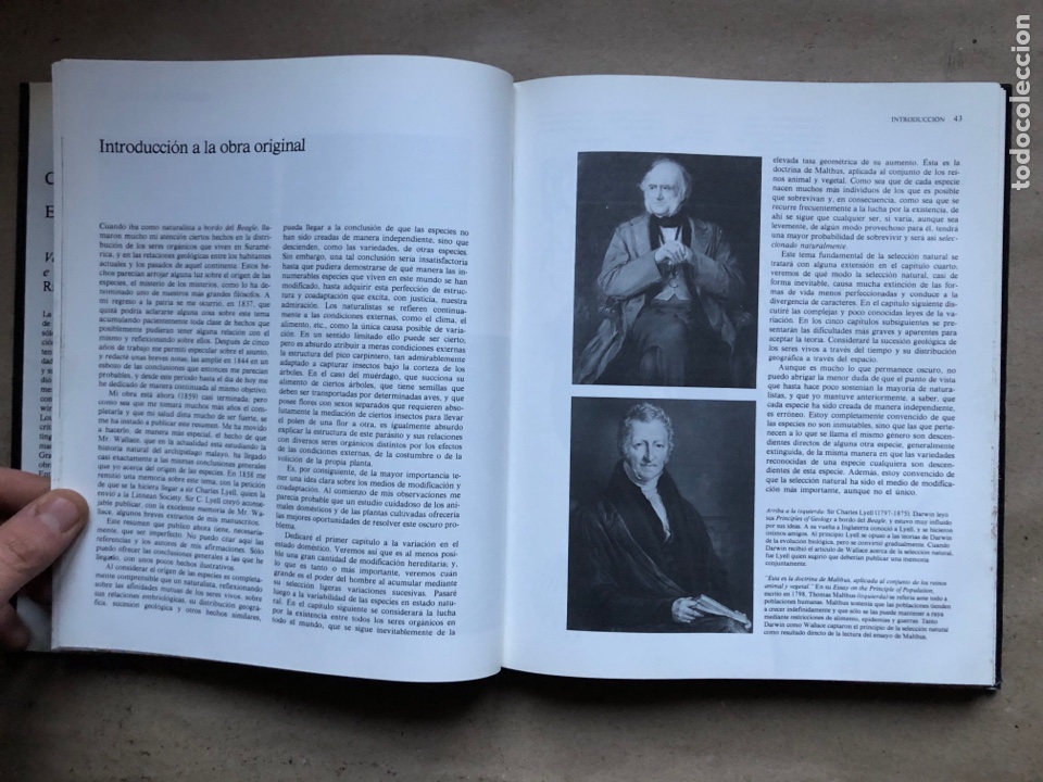 Libros: EL ORIGEN DE LAS ESPECIES, CHARLES DARWIN. VERSI&Oacute;N ABREVIADA E INTRODUCCI&Oacute;N DE RICHARD E. LEAKEY. - Foto 6
