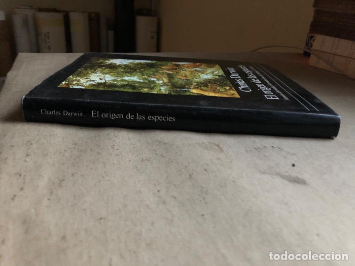 Libros: EL ORIGEN DE LAS ESPECIES, CHARLES DARWIN. VERSI&Oacute;N ABREVIADA E INTRODUCCI&Oacute;N DE RICHARD E. LEAKEY. - Foto 11
