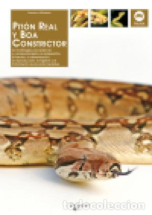 Libros: PIT&Oacute;N REAL Y BOA CONSTRICTOR - Millefanti,Massimo - Foto 1