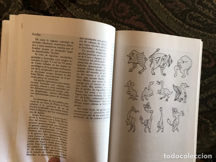 Libros: Animales fant&aacute;sticos. Enric Crespi. - Foto 3