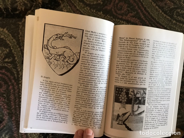 Libros: Animales fant&aacute;sticos. Enric Crespi. - Foto 4