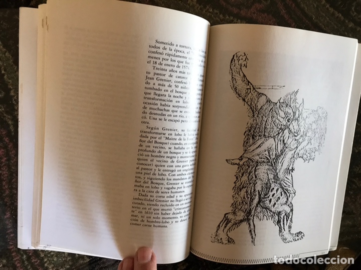 Libros: Animales fant&aacute;sticos. Enric Crespi. - Foto 5