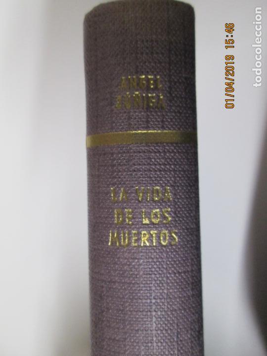 Libros: LA VIDA DE LOS MUERTOS - ANGEL ZU&Ntilde;IGA - EDICIONES DESTINO - Foto 1