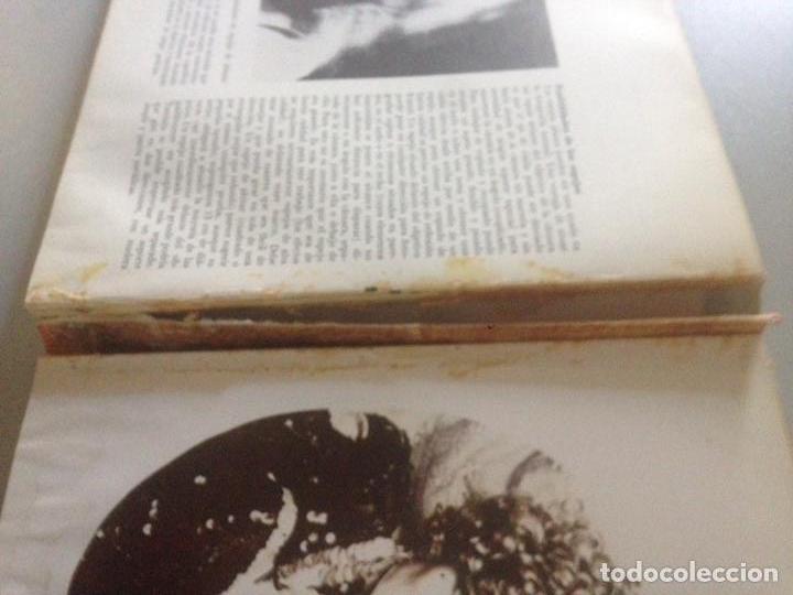Libros: EFECTOS Y EXPERIMENTOS EN FOTOGRAF&Iacute;A. - Foto 3