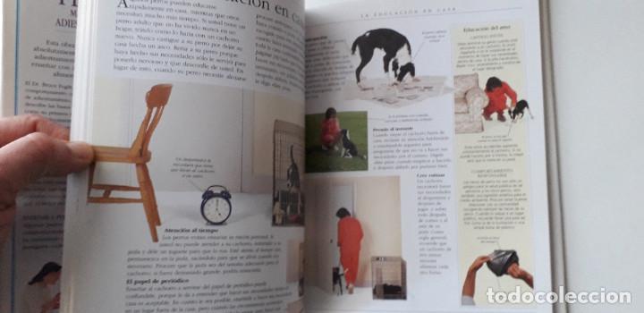 Libros: EL PERRO: MANUAL DE ADIESTRAMIENTO - DR. BRUCE FOGLE - Foto 4