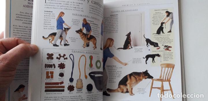 Libros: EL PERRO: MANUAL DE ADIESTRAMIENTO - DR. BRUCE FOGLE - Foto 5