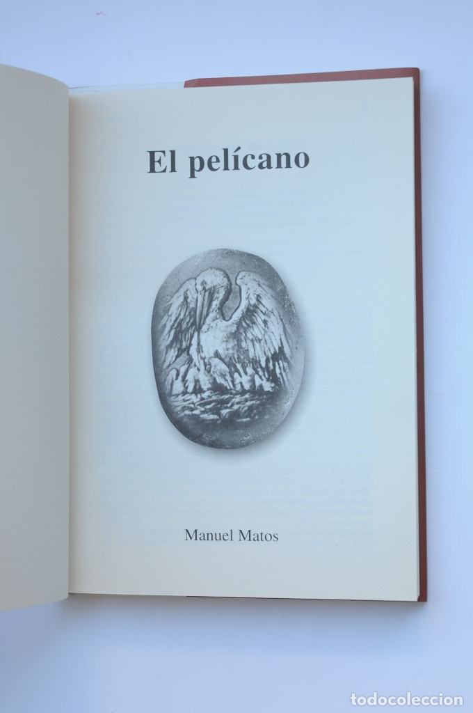 Libros: El pel&iacute;cano - MATOS, Manuel - Foto 3