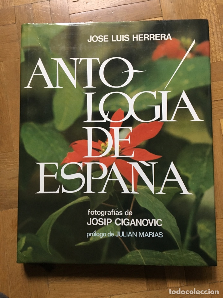 Libros: Antolog&iacute;a Espa&ntilde;a JOS&Eacute; Luis Herrera - Foto 1