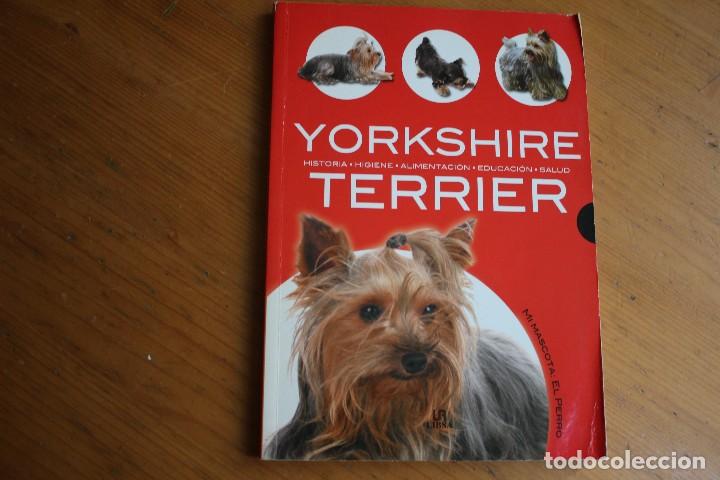 Libros: YORKSHIRE TERRIER EDITORIAL LIBSA - Foto 1