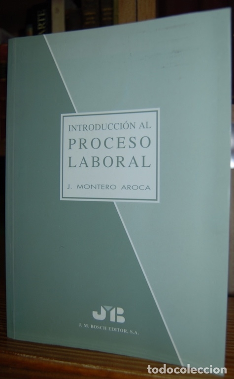 Libros: INTRODUCCION AL PROCESO LABORAL - MONTERO AROCA, Juan - Foto 1