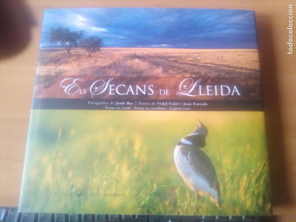 Libros: ELS SECANS DE LLEIDA - Foto 1