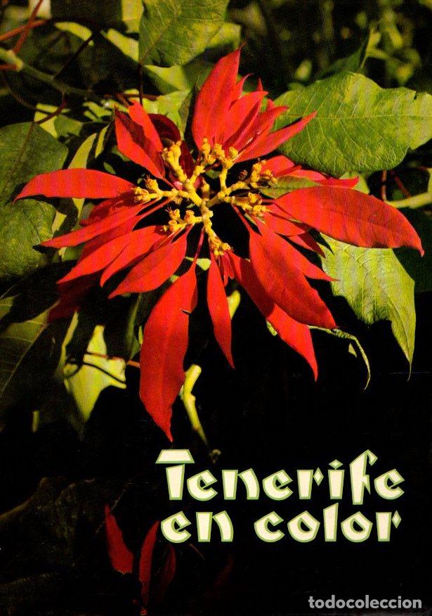 Libros: Tenerife en color - NO CONSTA AUTOR - Foto 1