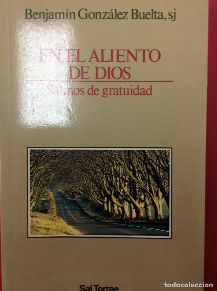 Libros: En el aliento De Dios - Benjam&iacute;n Gonz&aacute;lez Buelta,sj - Foto 1