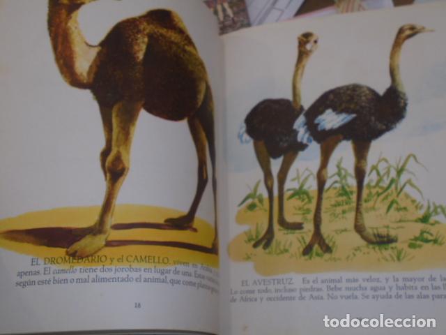 Libros: LIBRO DE LOS ANIMALES 3&ordf; EDICION A&Ntilde;O 1962 - EDITORIAL AGUILAR - Foto 4