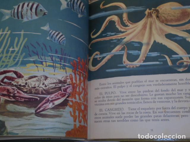 Libros: LIBRO DE LOS ANIMALES 3&ordf; EDICION A&Ntilde;O 1962 - EDITORIAL AGUILAR - Foto 5