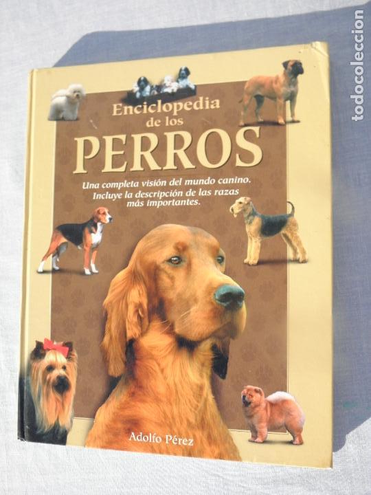 Libros: Libro Enciclopedia de los Perros, Adolfo P&eacute;rez, Edimat - Foto 1