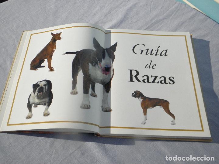 Libros: Libro Enciclopedia de los Perros, Adolfo P&eacute;rez, Edimat - Foto 4