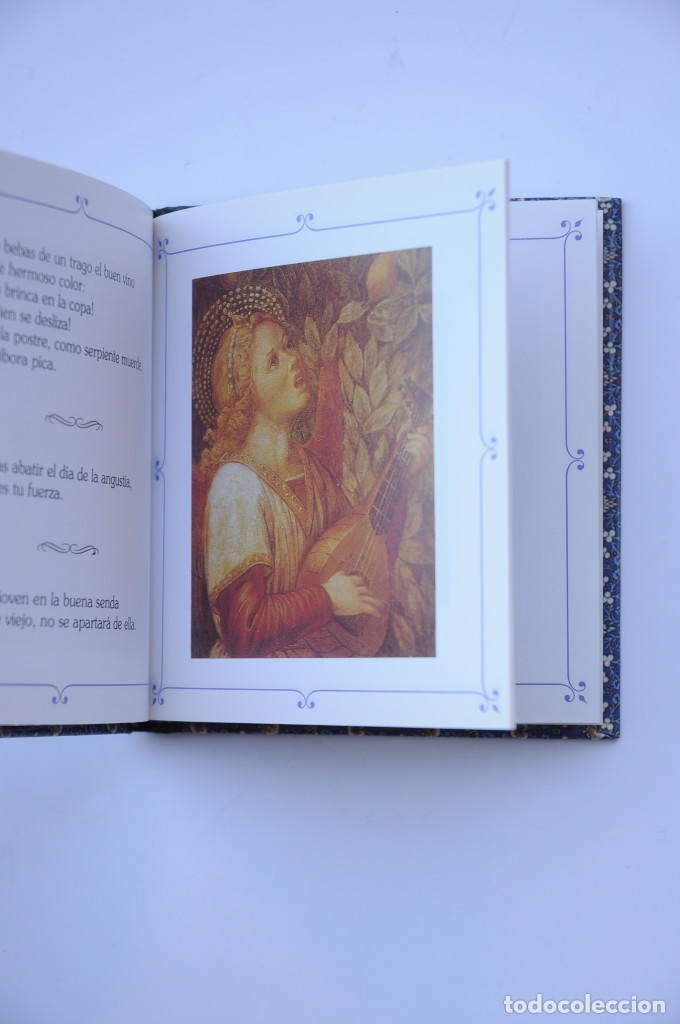 Libros: Proverbios de la Biblia - AUTORES VARIOS - Foto 3