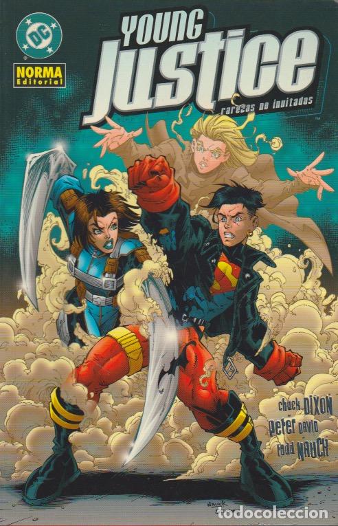 Libros: Young Justice. Norma 2004. N&ordm; 3 Rarezas no invitadas - Foto 1