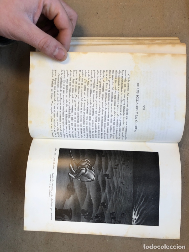 Libros: EL LENGUAJE DE LOS SUE&Ntilde;OS. ERNST ARPPLI. COMO INTERPRETAR LOS SUE&Ntilde;OS E IDENTIFICAR SUS S&Iacute;MBOLOS. - Foto 9