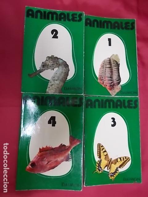 Libros: ANIMALES. 4 TOMOS. MAURICE BURTON. DAIMON - Foto 1