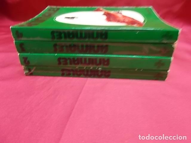 Libros: ANIMALES. 4 TOMOS. MAURICE BURTON. DAIMON - Foto 13