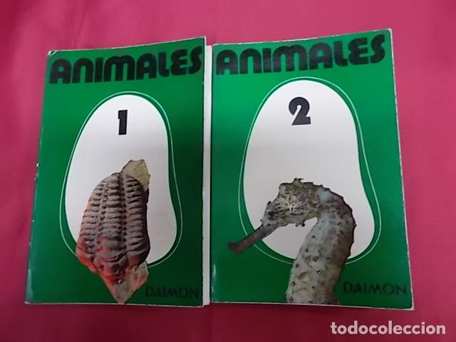 Libros: ANIMALES. 4 TOMOS. MAURICE BURTON. DAIMON - Foto 14