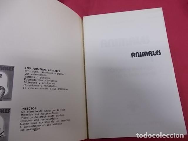 Libros: ANIMALES. 4 TOMOS. MAURICE BURTON. DAIMON - Foto 2