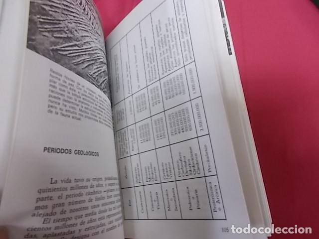 Libros: ANIMALES. 4 TOMOS. MAURICE BURTON. DAIMON - Foto 3