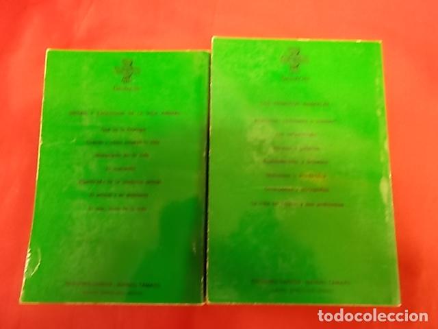 Libros: ANIMALES. 4 TOMOS. MAURICE BURTON. DAIMON - Foto 6