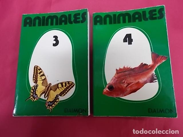 Libros: ANIMALES. 4 TOMOS. MAURICE BURTON. DAIMON - Foto 7