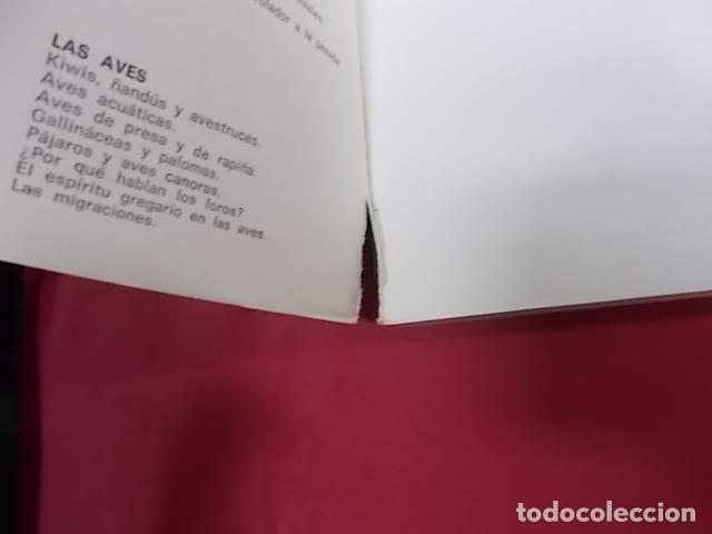 Libros: ANIMALES. 4 TOMOS. MAURICE BURTON. DAIMON - Foto 8