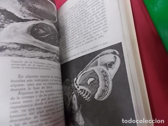Libros: ANIMALES. 4 TOMOS. MAURICE BURTON. DAIMON - Foto 9