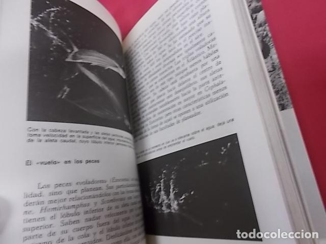 Libros: ANIMALES. 4 TOMOS. MAURICE BURTON. DAIMON - Foto 11