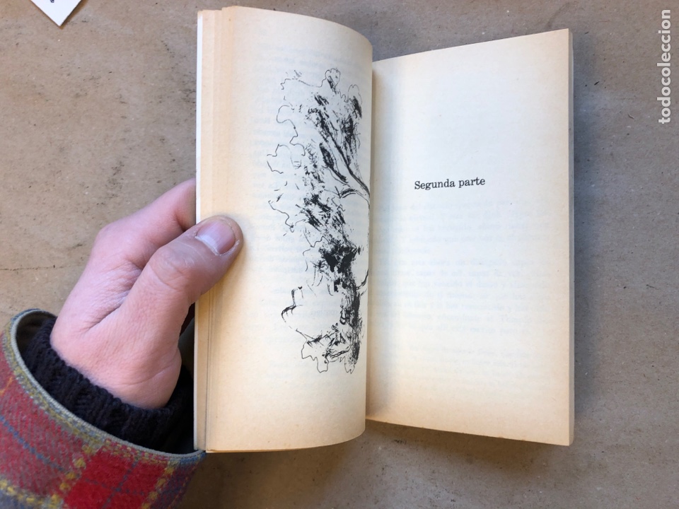 Libros: LUZ EN EL SENDERO. MABEL COLLINS. EDITORIAL DIANA 1973. - Foto 5