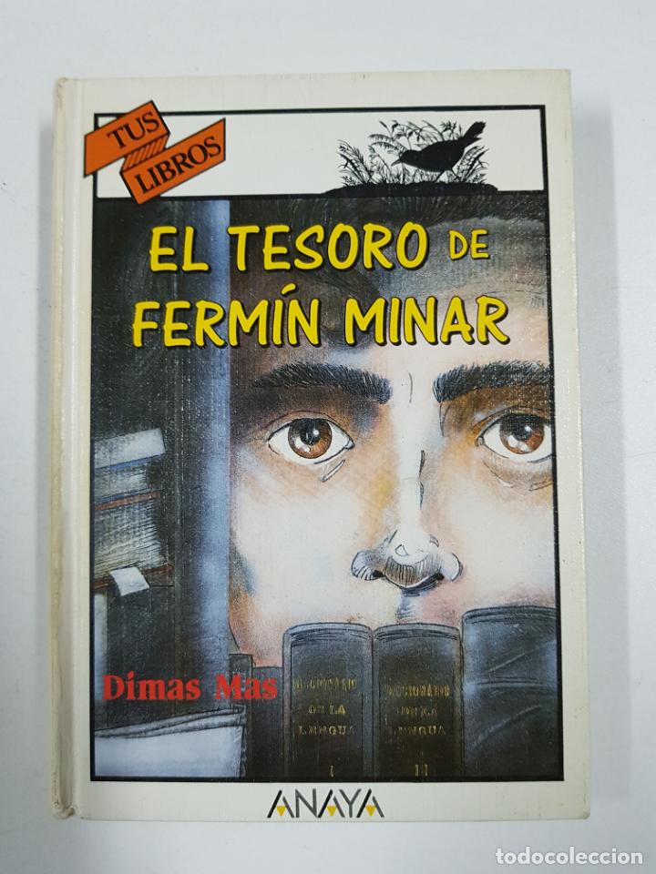 Libros: El tesoro de Fermin Minar / Dimas Mas - Foto 1