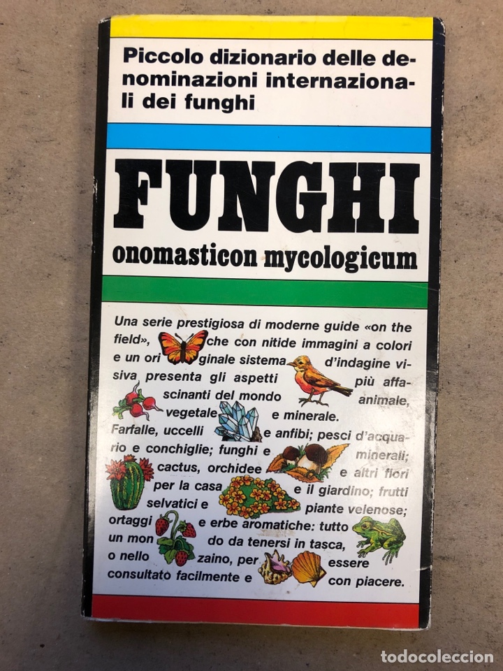 Libros: FUNGHI (ONOMASTICON MYCOLOGICUM). PRIULI & VERLUCCA EDITORI 1982.