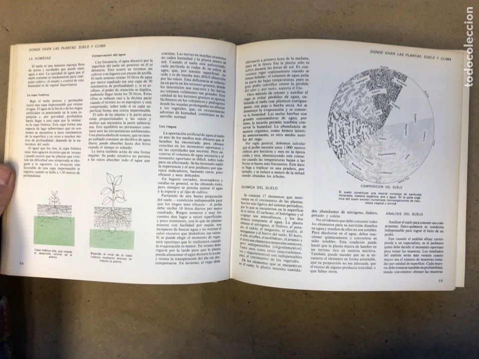 Libros: EL LIBRO DEL JARD&Iacute;N Y DE LA TERRAZA. SELECCIONES DE READERS DIGEST 1979. - Foto 5