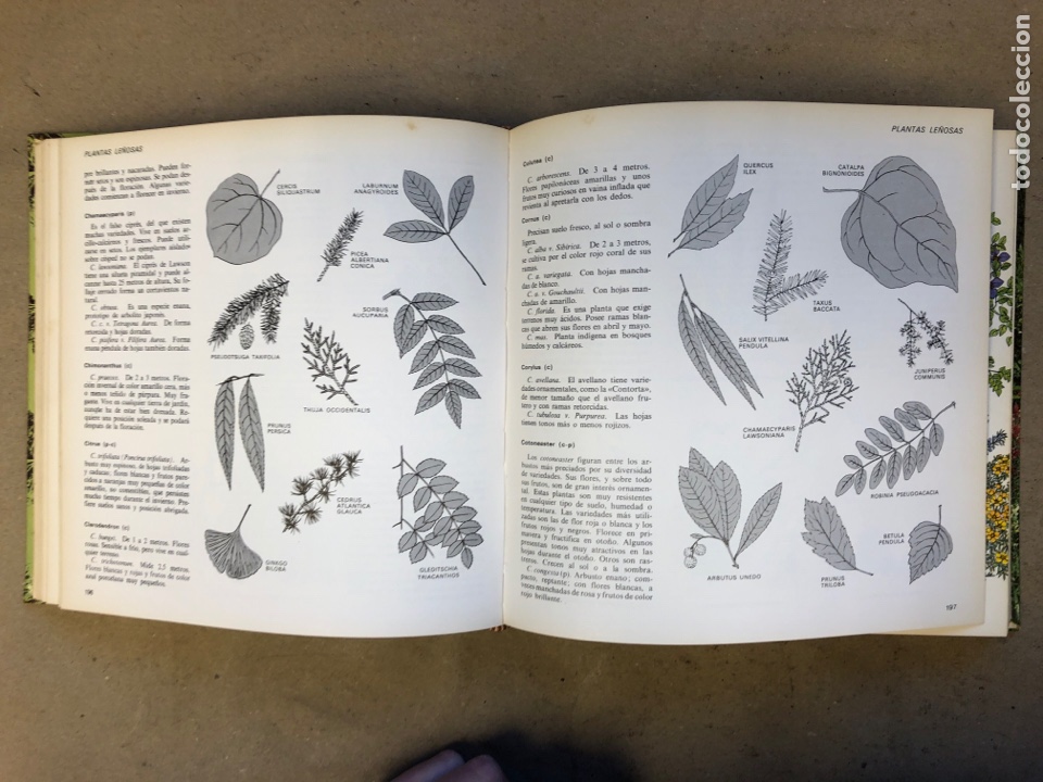 Libros: EL LIBRO DEL JARD&Iacute;N Y DE LA TERRAZA. SELECCIONES DE READERS DIGEST 1979. - Foto 6