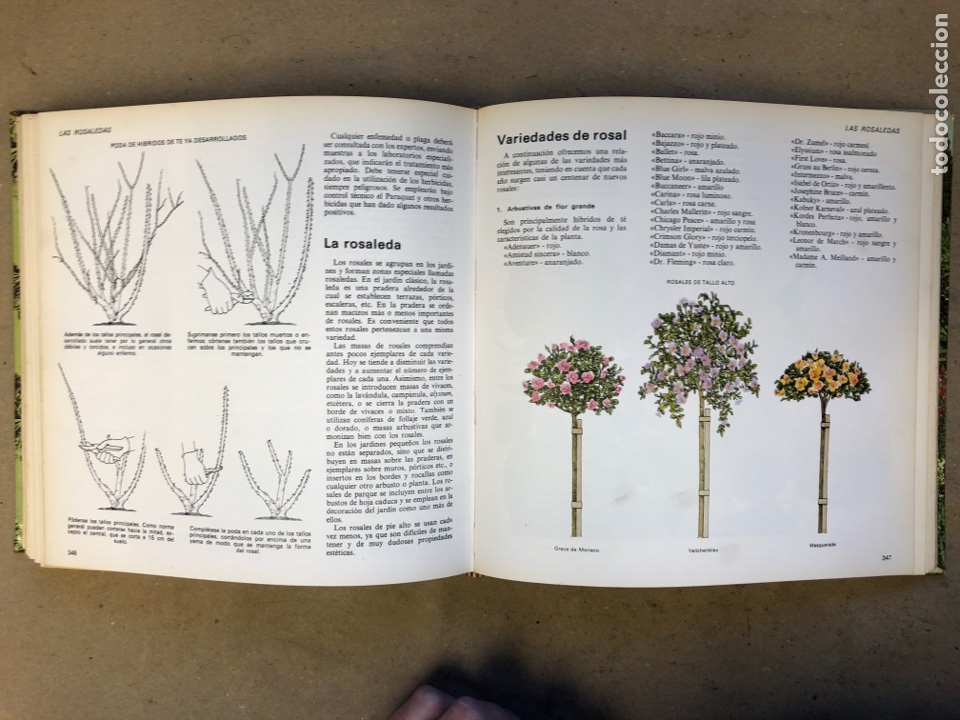 Libros: EL LIBRO DEL JARD&Iacute;N Y DE LA TERRAZA. SELECCIONES DE READERS DIGEST 1979. - Foto 8