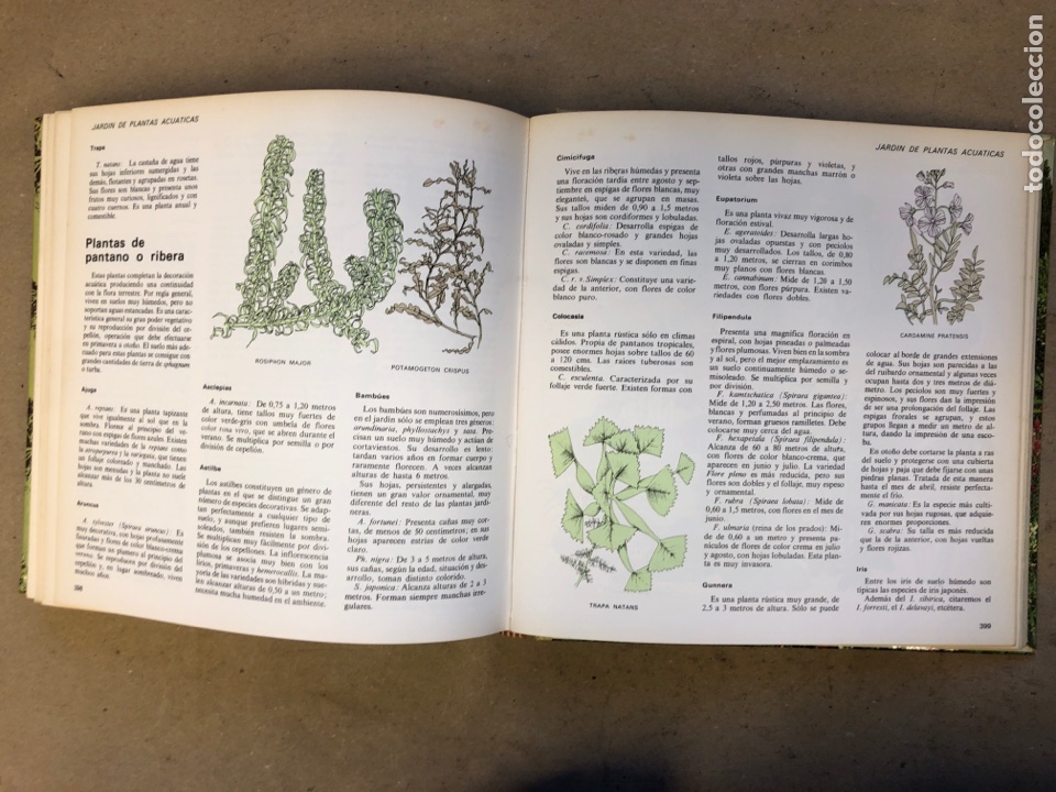 Libros: EL LIBRO DEL JARD&Iacute;N Y DE LA TERRAZA. SELECCIONES DE READERS DIGEST 1979. - Foto 9