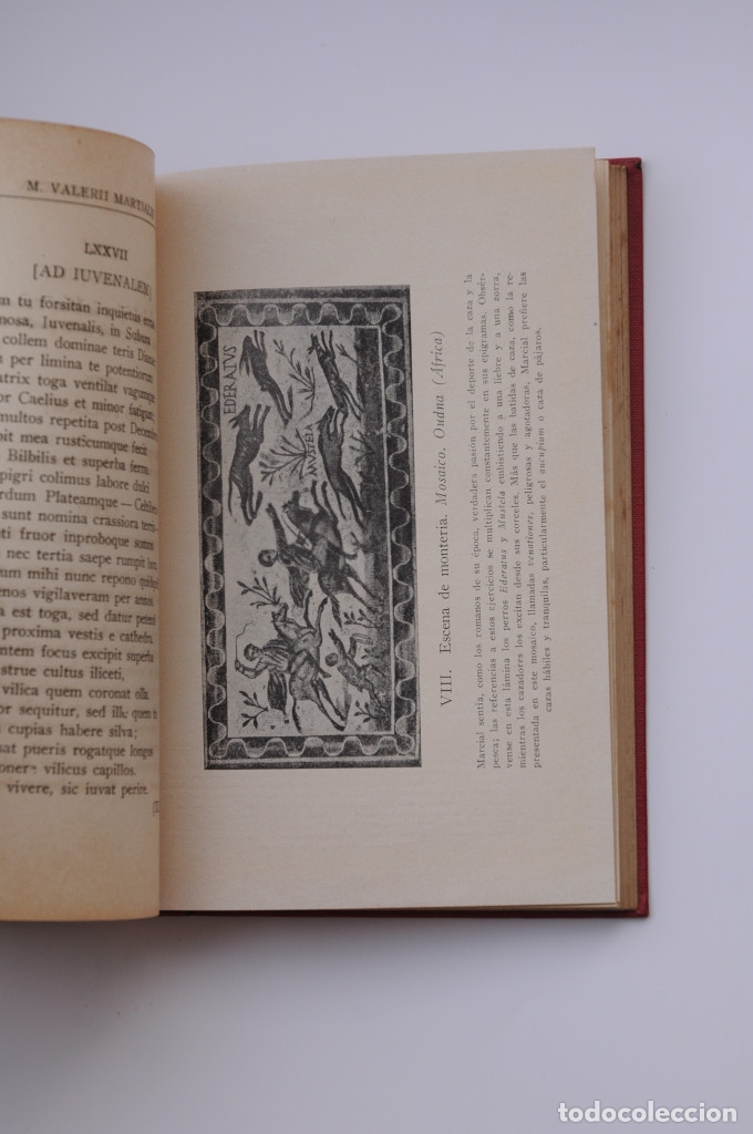 Libros: Epigramas selectos - MARCIAL, M. Valerio - Foto 3