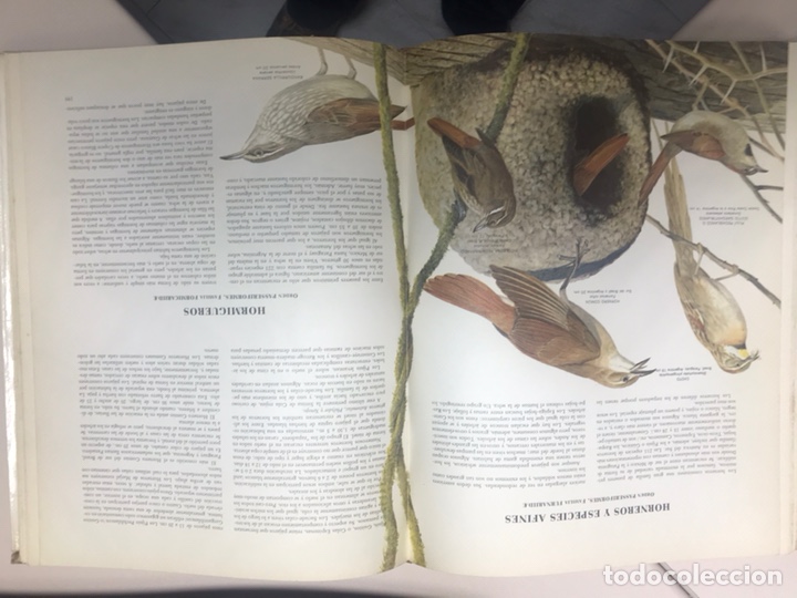 Libros: Las aves - Foto 2