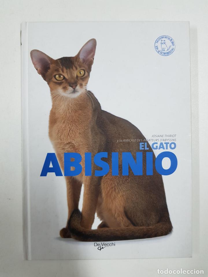 Libros: El gato abisinio - Foto 1