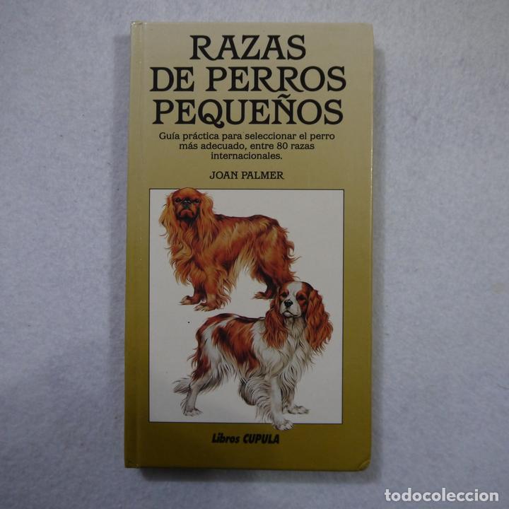 Libros: RAZAS DE PERROS PEQUE&Ntilde;OS - JOAN PALMER - EDICIONES CEAC - 1991 - Foto 1