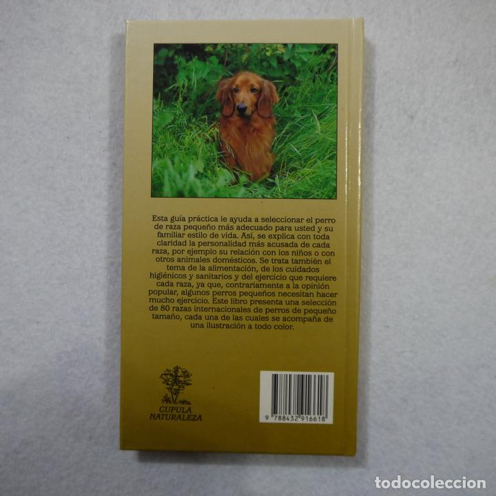Libros: RAZAS DE PERROS PEQUE&Ntilde;OS - JOAN PALMER - EDICIONES CEAC - 1991 - Foto 2