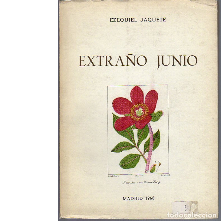 Libros: Extra&ntilde;o junio (1938). Ezequiel Jaquete. - Foto 1